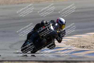 media/Mar-12-2022-SoCal Trackdays (Sat) [[152081554b]]/Turn 10 (130pm)/